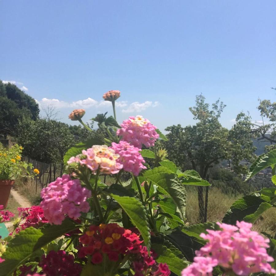 Bed and Breakfast La Riggiola Salerno Exterior foto
