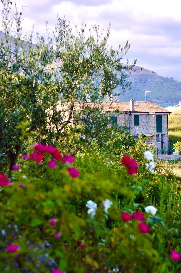 Bed and Breakfast La Riggiola Salerno Exterior foto